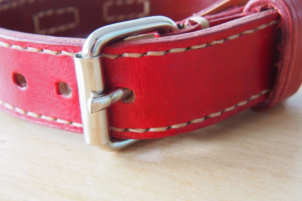 Skórzana obroża dla psa